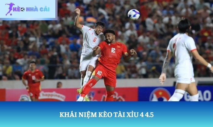 Kèo Tài Xỉu 4 4.5 là gì? Giải thích từ A-Z cho người mới 1 Khái niệm kèo Tài Xỉu 4 4.5
