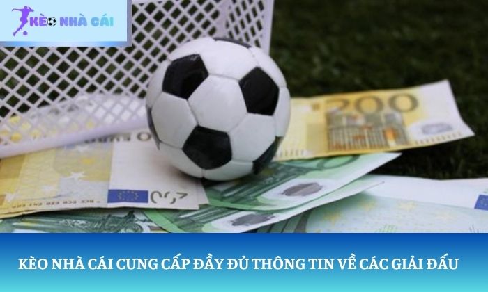 Trang chủ 8 Kèo nhà cái cung cấp đầy đủ thông tin về các giải đấu