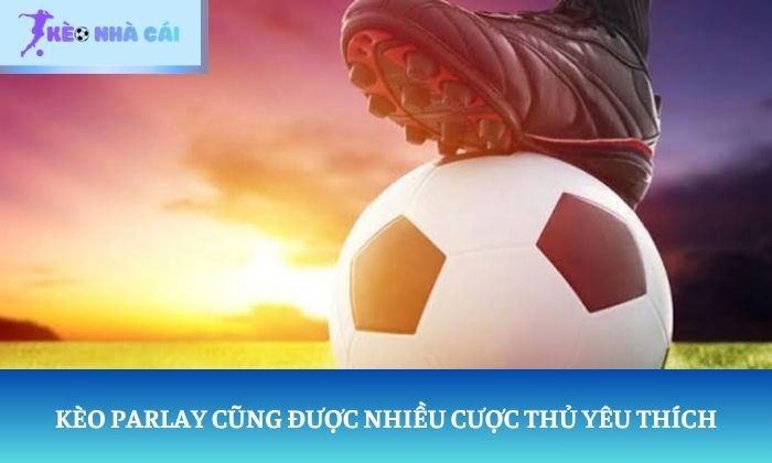 Trang chủ 12 Kèo Parlay cũng được nhiều cược thủ yêu thích