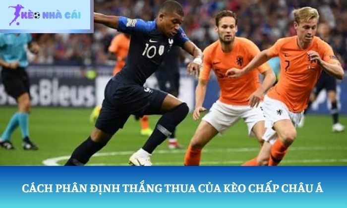 cách đọc kèo bóng đá Euro cách đọc kèo bóng đá Euro