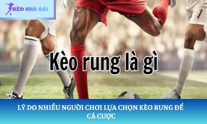 hướng dẫn chơi kèo rung hướng dẫn chơi kèo rung